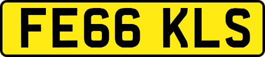 FE66KLS