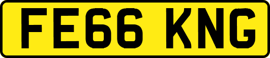 FE66KNG
