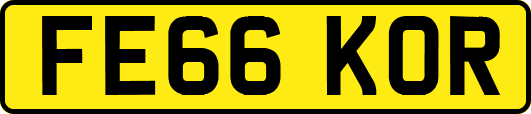 FE66KOR