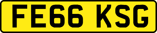 FE66KSG