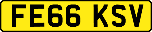 FE66KSV