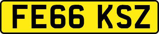 FE66KSZ