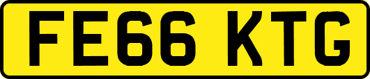 FE66KTG