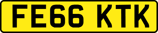 FE66KTK
