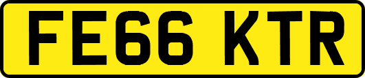 FE66KTR