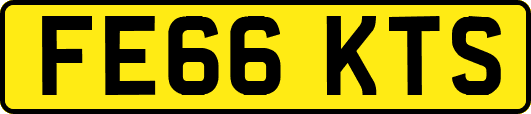 FE66KTS