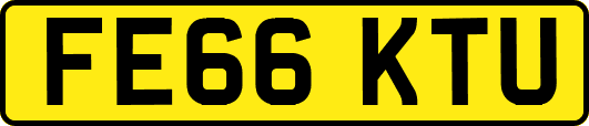 FE66KTU