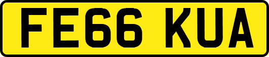 FE66KUA