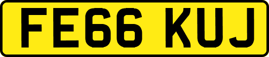 FE66KUJ