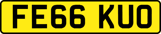 FE66KUO