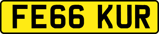 FE66KUR