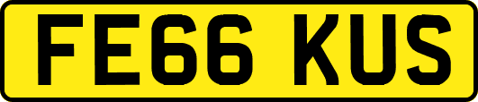 FE66KUS