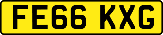 FE66KXG