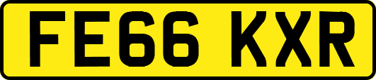 FE66KXR