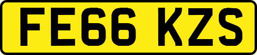 FE66KZS