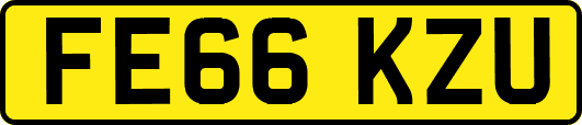 FE66KZU