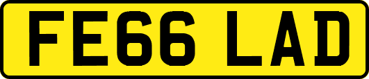 FE66LAD