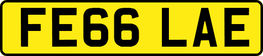 FE66LAE