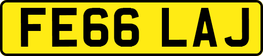 FE66LAJ