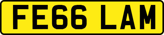 FE66LAM