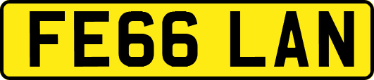 FE66LAN