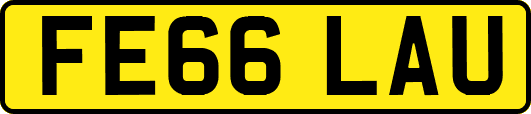 FE66LAU