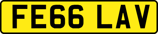 FE66LAV