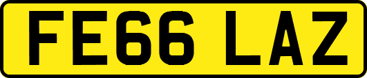 FE66LAZ