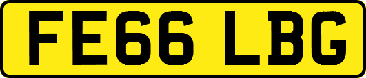 FE66LBG