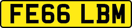 FE66LBM