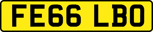 FE66LBO