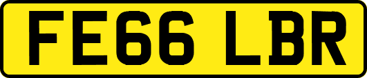 FE66LBR