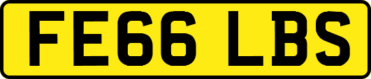 FE66LBS