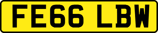 FE66LBW