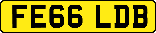 FE66LDB