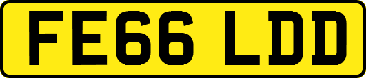 FE66LDD
