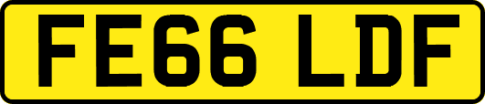 FE66LDF