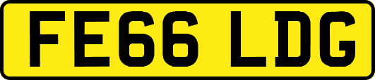 FE66LDG