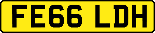 FE66LDH