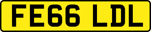 FE66LDL