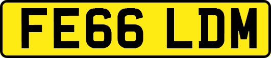 FE66LDM