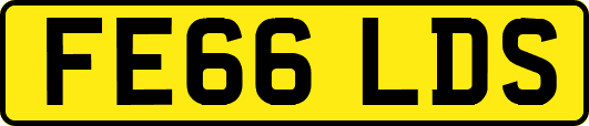 FE66LDS