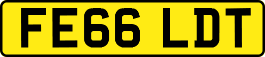 FE66LDT