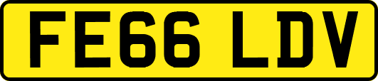 FE66LDV