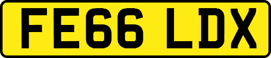 FE66LDX