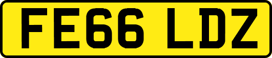 FE66LDZ
