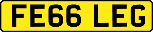 FE66LEG