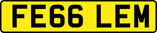 FE66LEM