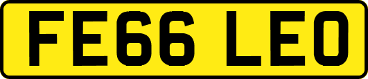 FE66LEO