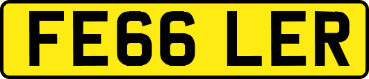 FE66LER